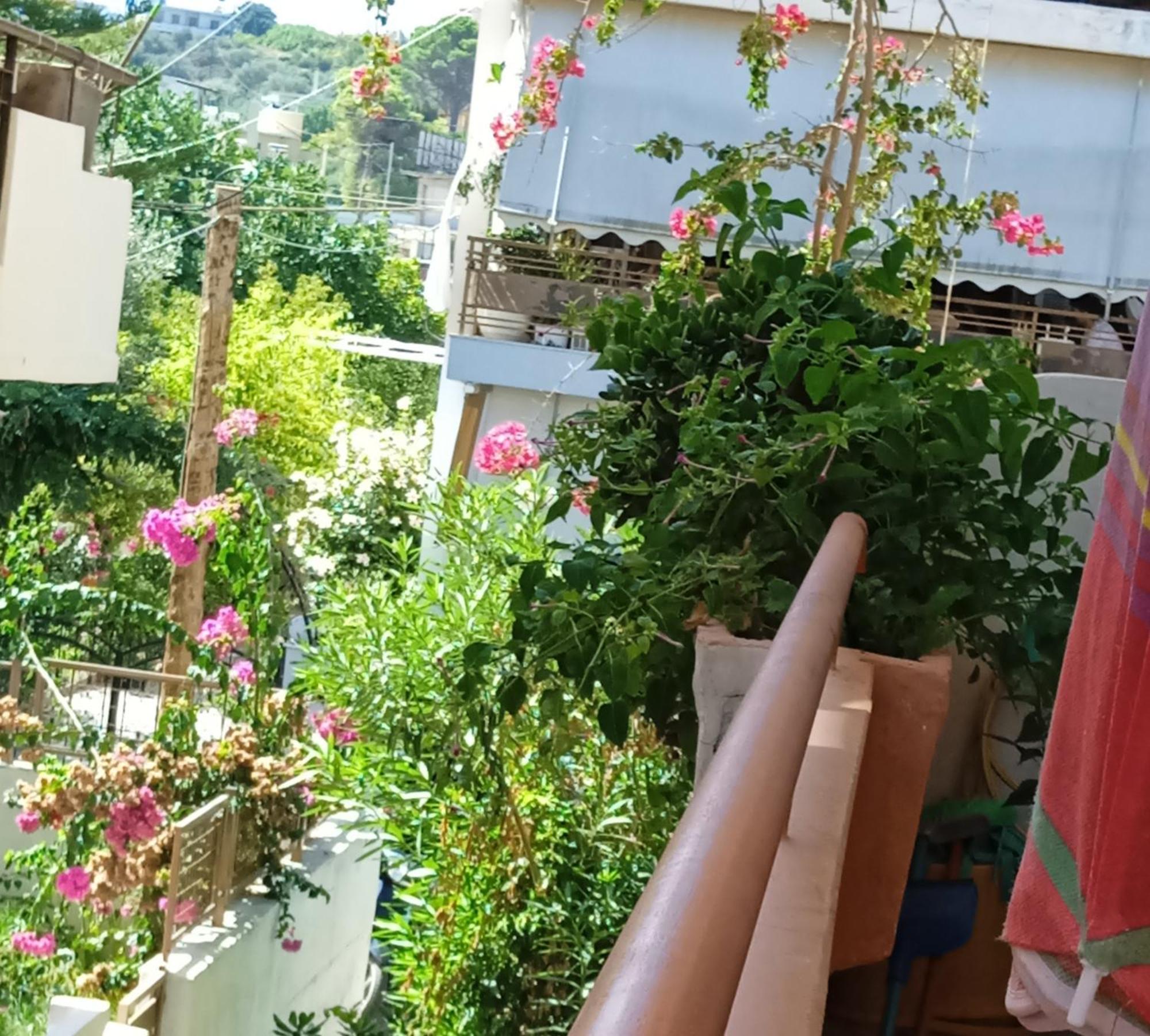 Aparthotel Ilona Chania *