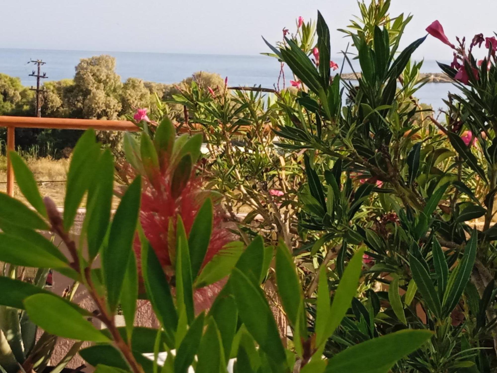 Ilona Chania Aparthotel *