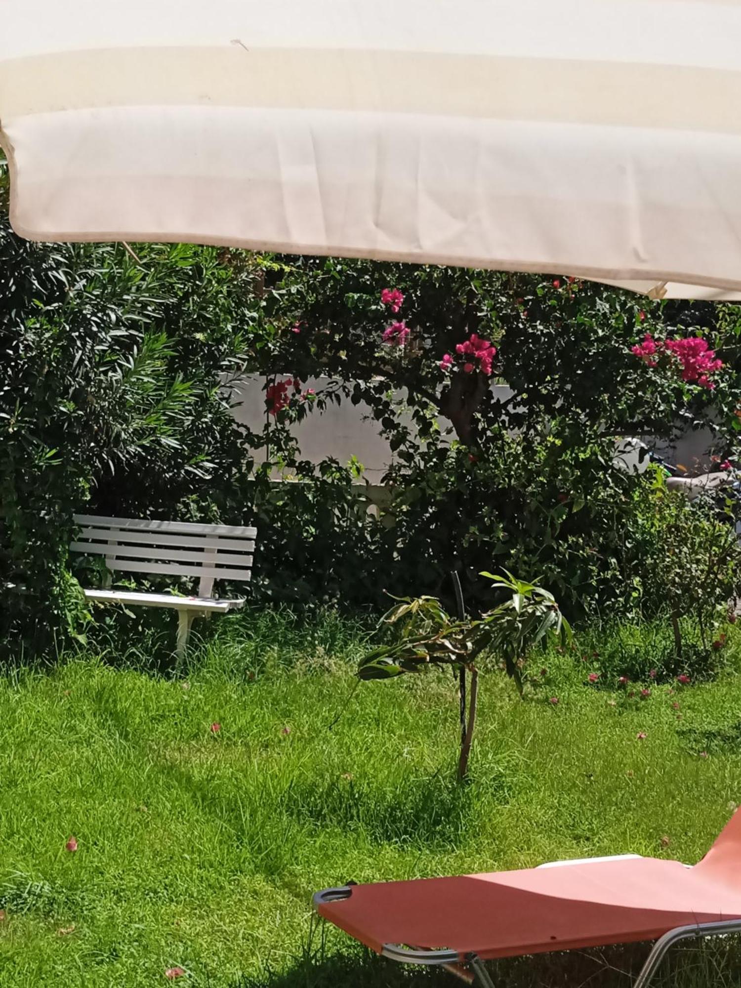 Aparthotel Ilona Chania